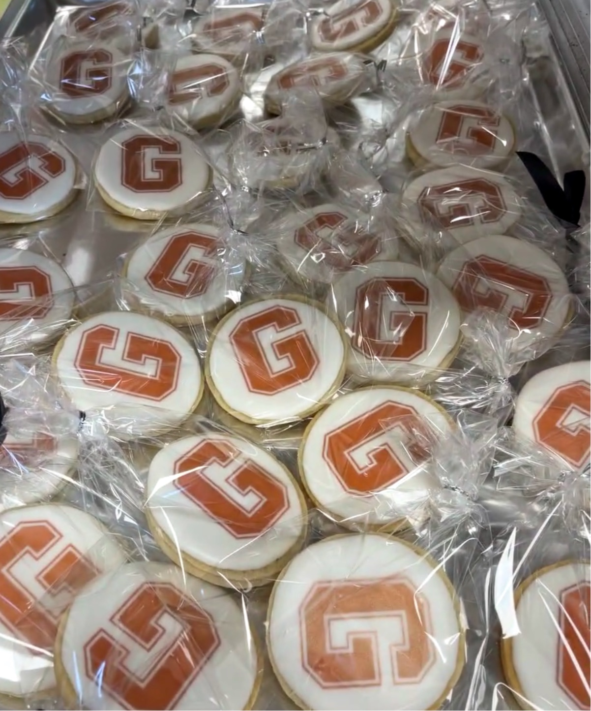 Blank Iced Cookies